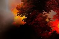 What is wildfire pollution? (Image via Freepik/Rawpixel.com)